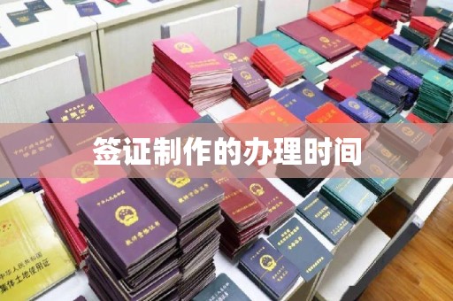 东丽签证制作的办理时间